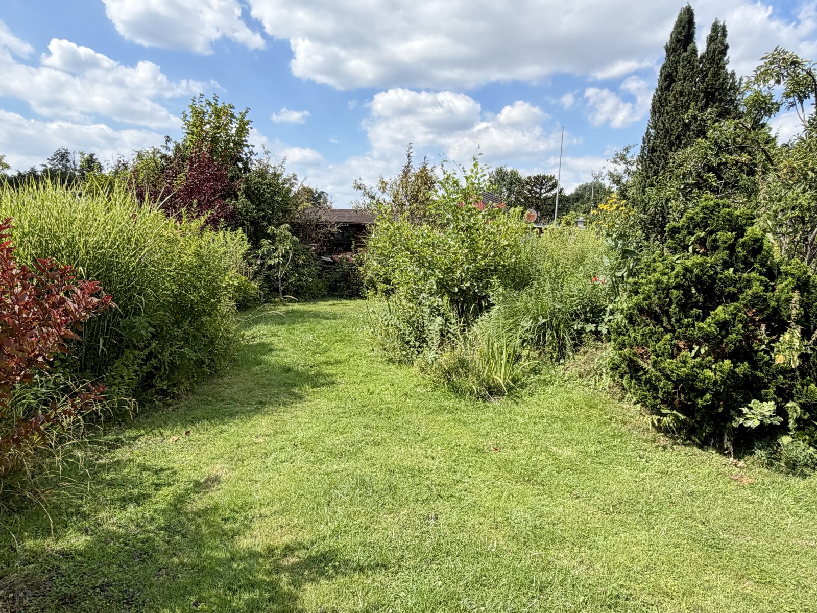 Blick in den Garten Blick in den Garten